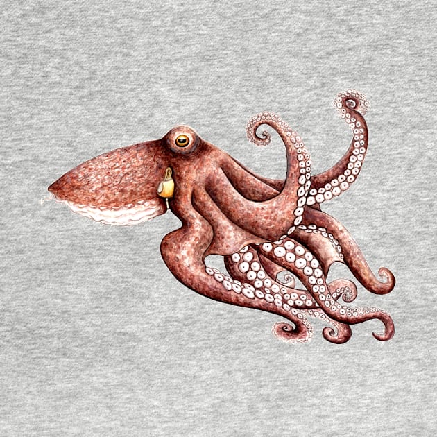 Octopus (Octopus vulgaris) by chloeyzoard